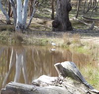 Mulligans Flat - Accommodation QLD