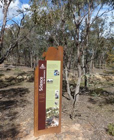 Mulligans Flat - Accommodation QLD 1