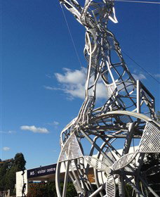 Australian Institute Of Sport (AIS) - Accommodation QLD 0