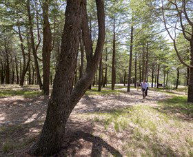 The National Arboretum Canberra - Accommodation QLD 3