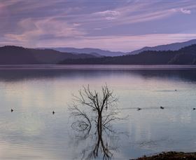 Scone NSW Accommodation QLD