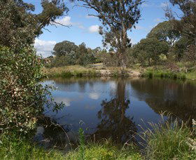 Cooleman Ridge - Accommodation QLD 0