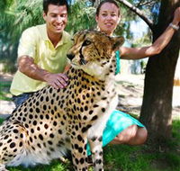 National Zoo  Aquarium - Accommodation QLD