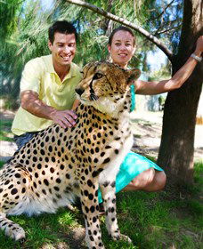 National Zoo & Aquarium - Accommodation QLD 0