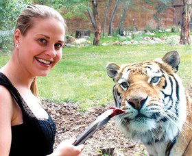 National Zoo & Aquarium - Accommodation QLD 1