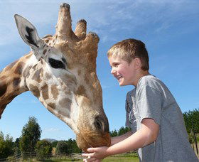 National Zoo & Aquarium - Accommodation QLD 3