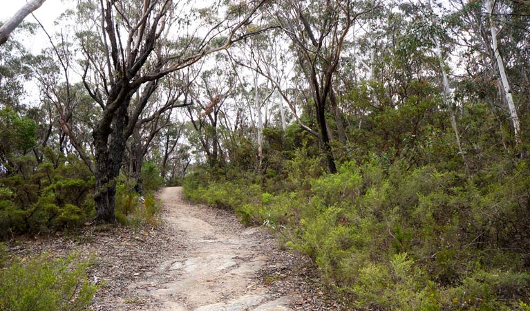 Ganbenang NSW Accommodation QLD