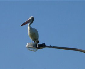 Bailey's Sydney - Tours For People Who Don't Like Tours - Accommodation QLD 3