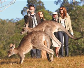 Boutique Tours Australia - Accommodation QLD 2