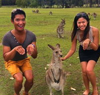 Runaway Tours - Accommodation QLD