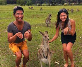 Runaway Tours - Accommodation QLD 0