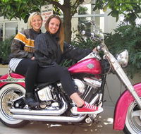 Wild Ride Harley and Motorcycle Tours - Accommodation QLD