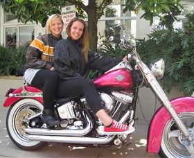 Wild Ride Harley And Motorcycle Tours - Accommodation QLD 0