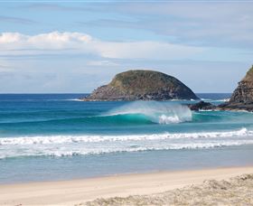 Surfaris Surf Camp - Accommodation QLD 4