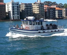 Deep Sea Fishing Charter - Accommodation QLD 2