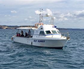Deep Sea Fishing Charter - Accommodation QLD 3