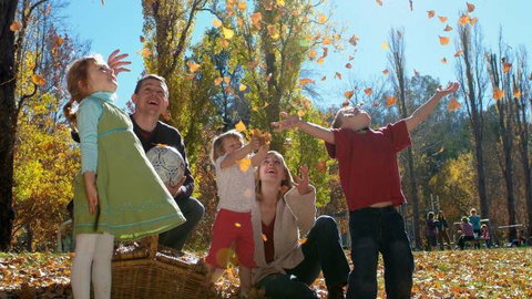 Cotter Avenue Recreation Area - Accommodation QLD 3