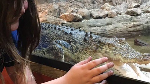 Canberra Reptile Zoo - Accommodation QLD 3