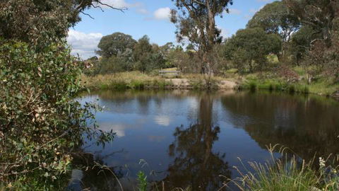 Cooleman Ridge - Accommodation QLD 3