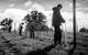 Clonakilla Wines - thumb 4