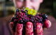 Clonakilla Wines - thumb 6
