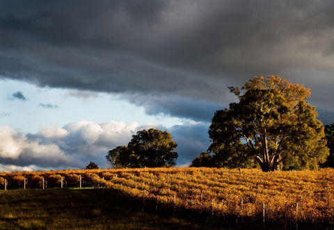 Clonakilla Wines - Accommodation QLD 8