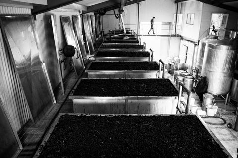 Clonakilla Wines - Accommodation QLD 9