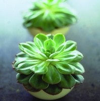 Crossroads Homemaker Centre - Accommodation QLD 1