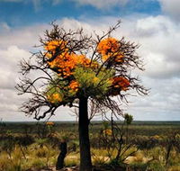 The Delmar Gallery - Accommodation QLD
