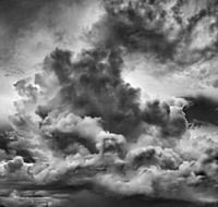 Annandale Galleries - Accommodation QLD