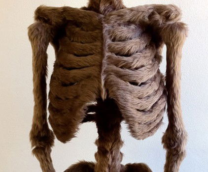 Galleryeight - Accommodation QLD 2