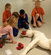 Book Windsor NSW Attractions Accommodation QLD Accommodation QLD