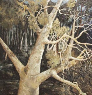 Claymore NSW Accommodation QLD