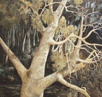 Ku-Ring-Gai Art Centre  Gallery - Accommodation QLD