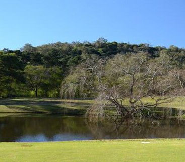 Antill Park Country Golf Club - Accommodation QLD 1