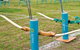 Sydney Olympic Park Archery Centre - thumb 0
