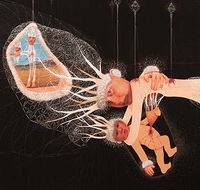 MAY SPACE - Accommodation QLD