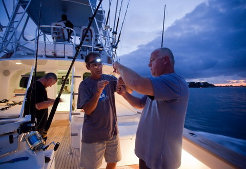 Amokura Charters - Accommodation QLD 1