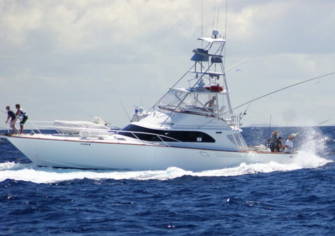 Amokura Charters - Accommodation QLD 2