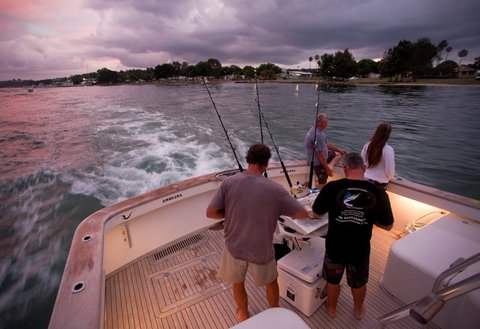 Amokura Charters - Accommodation QLD 3