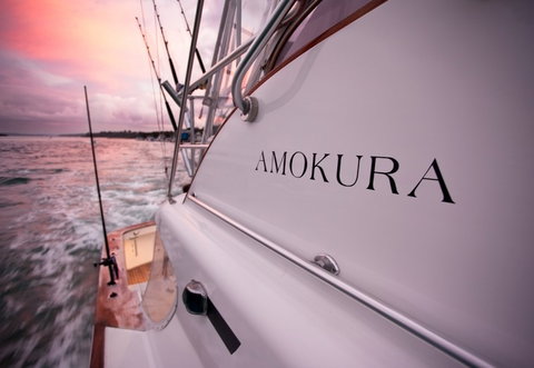 Amokura Charters - Accommodation QLD 4