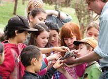 Blackbutt Reserve - Accommodation QLD 2