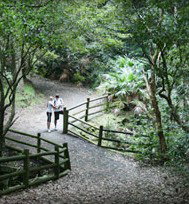 Blackbutt Reserve - Accommodation QLD 3