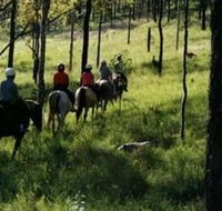 Hunter Valley Horse Riding and Adventures - Accommodation QLD