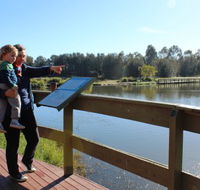 Hunter Wetlands Centre Australia - Accommodation QLD