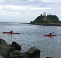 Newcastle Kayak Tours - Accommodation QLD