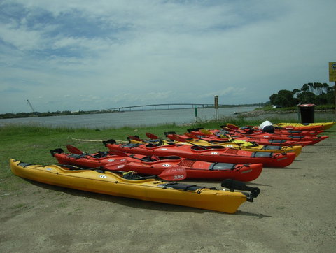 Newcastle Kayak Tours - Accommodation QLD 2