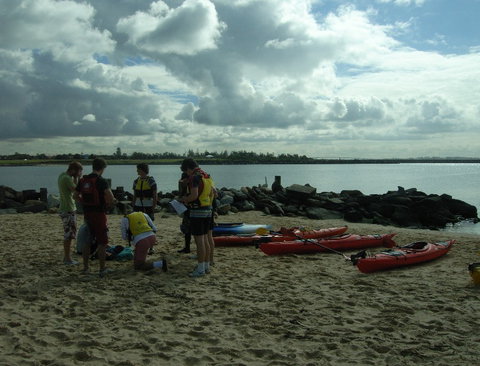 Newcastle Kayak Tours - Accommodation QLD 3