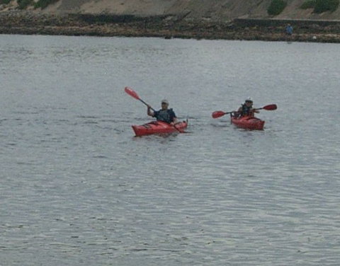 Newcastle Kayak Tours - Accommodation QLD 4