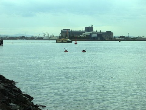 Newcastle Kayak Tours - Accommodation QLD 5